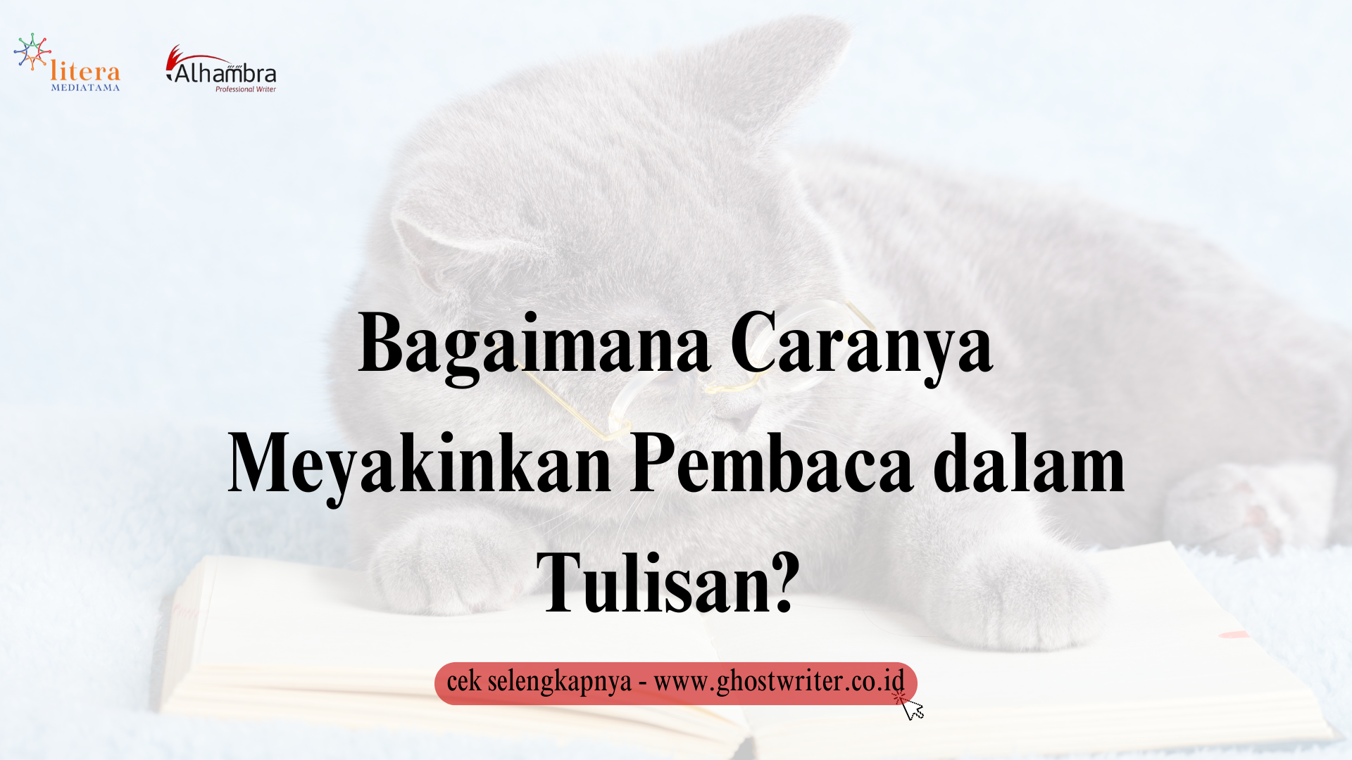 Bagaimana Caranya Meyakinkan Pembaca dalam Tulisan? Beginilah Panduan Praktis untuk Penulis Pemula